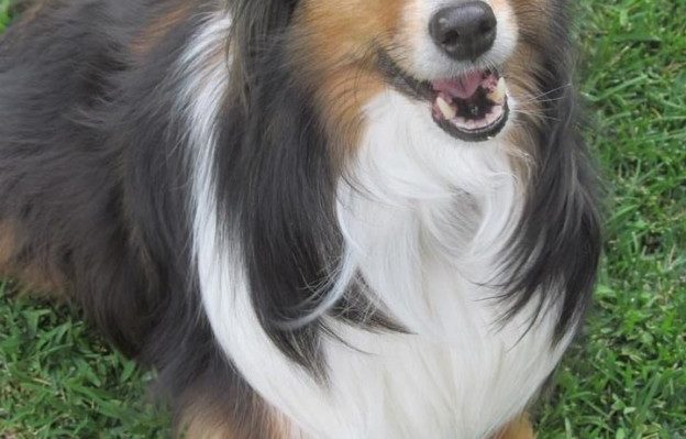 GracieRoseSmiling-624x832 | FOX 28 Spokane