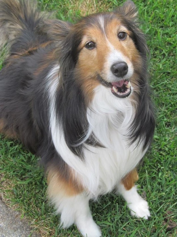 GracieRoseSmiling-624x832 | FOX 28 Spokane GracieRoseSmiling-624x832