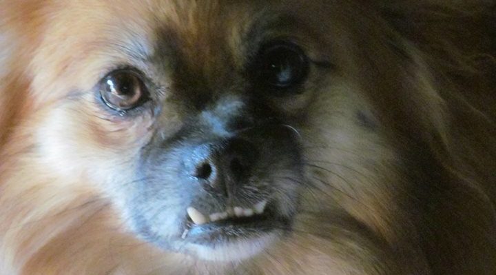 HarryNoir | FOX 28 Spokane