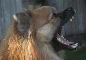 OUTMODED TRAINING METHODS