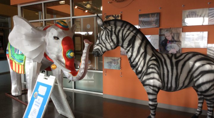 IMG_1038 | FOX 28 Spokane