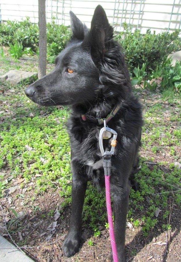 SaraOnLeadSitting-624x904 | FOX 28 Spokane SaraOnLeadSitting-624x904