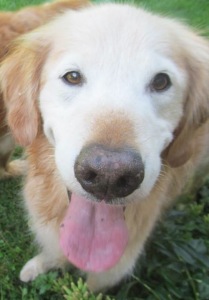 WinstonDirtTongue-209x300 | FOX 28 Spokane