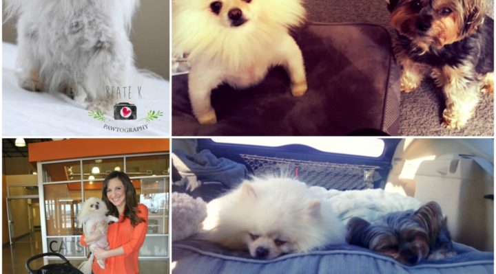 claireadoptsstatic-1024x1024 | FOX 28 Spokane