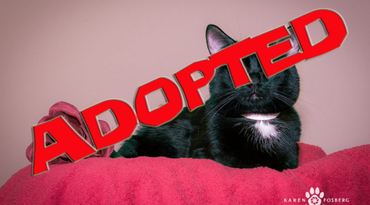 dixonadopted-768x513 | FOX 28 Spokane