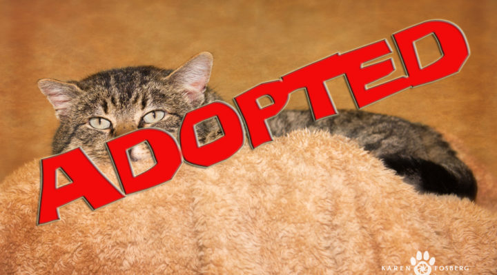 rustyadopted | FOX 28 Spokane