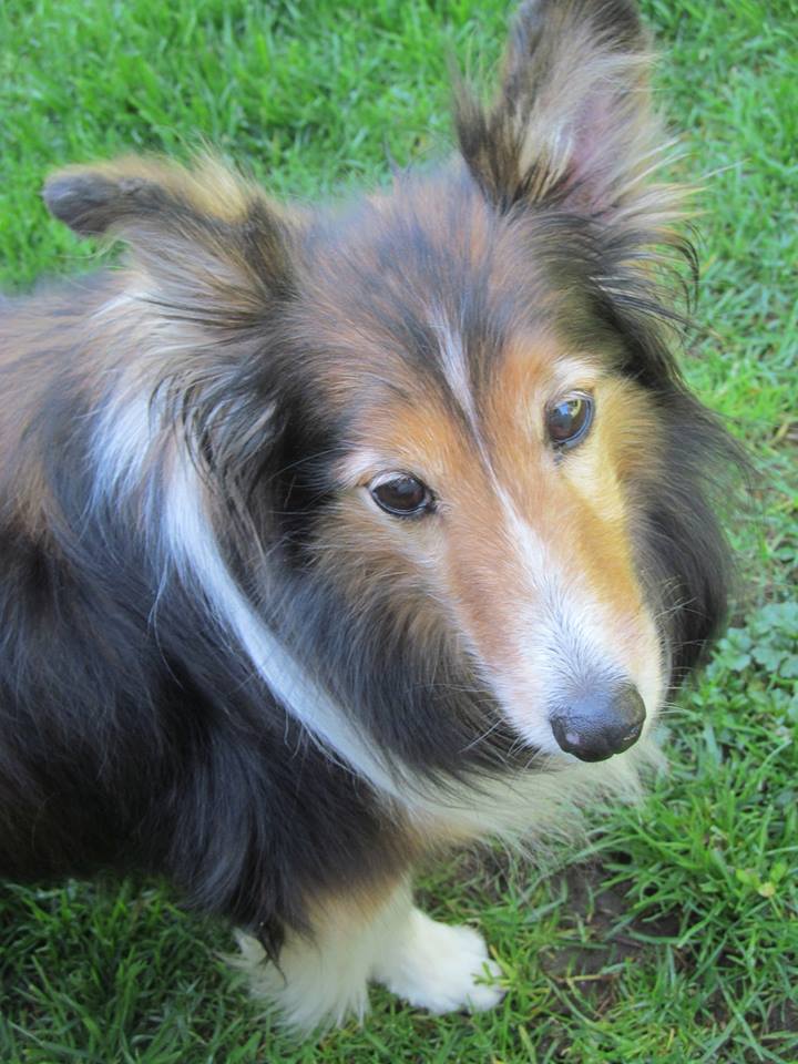 GracieRoseHeadTurned | FOX 28 Spokane GracieRoseHeadTurned