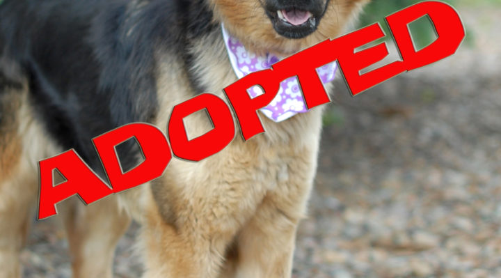 sienna adopted | FOX 28 Spokane