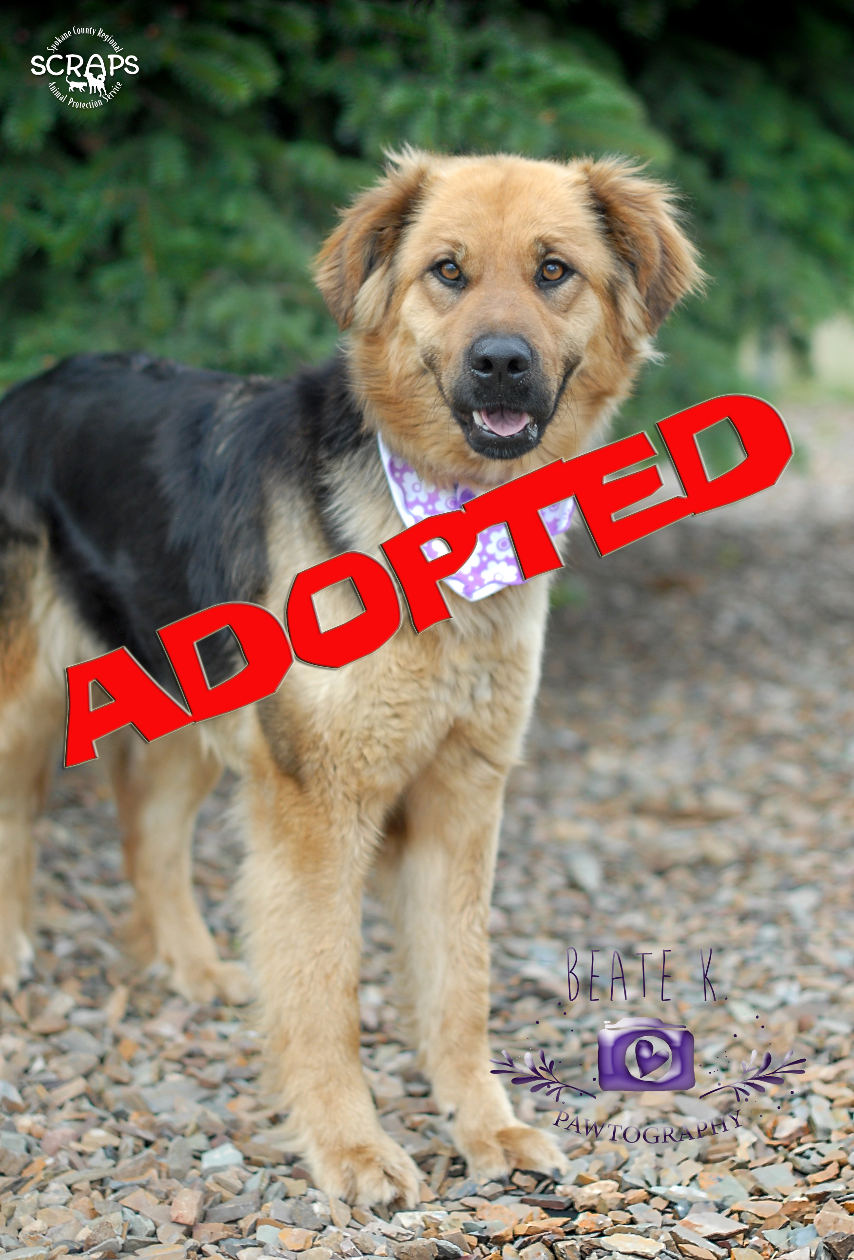 sienna adopted | FOX 28 Spokane