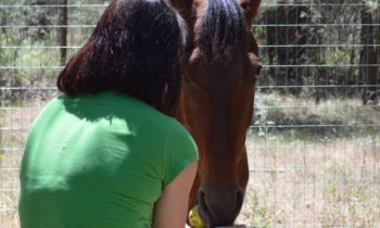 CityGuide Companion: Healing Hearts Through Horses