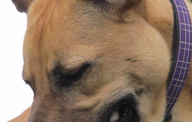 FridaLooksAway | FOX 28 Spokane