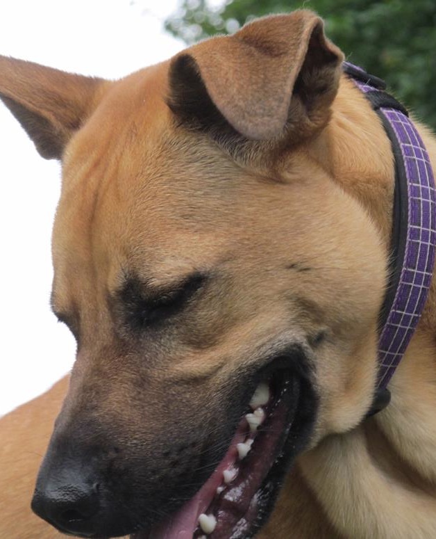 FridaLooksAway | FOX 28 Spokane FridaLooksAway