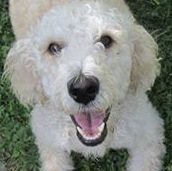 GracieOnGrass | FOX 28 Spokane GracieOnGrass