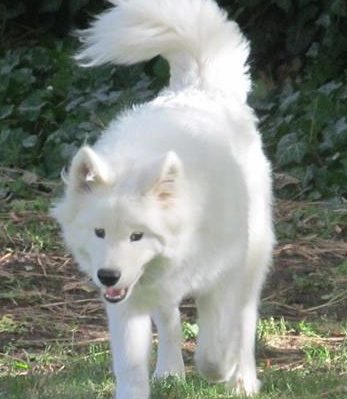 ridleyinyard | FOX 28 Spokane