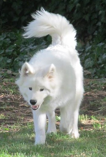 ridleyinyard | FOX 28 Spokane ridleyinyard