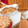 Talking Turkey – Thanksgiving Safety for Your Pets