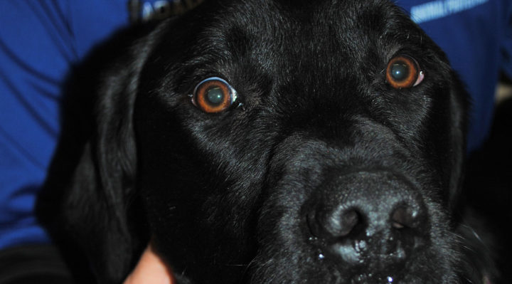 DSC_1137 | FOX 28 Spokane