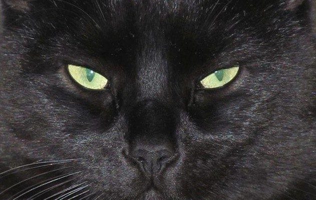 PeelFullFace | FOX 28 Spokane