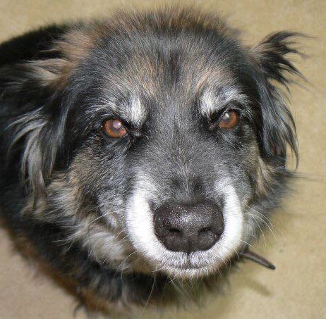 MeganCuillia(Taz) | FOX 28 Spokane