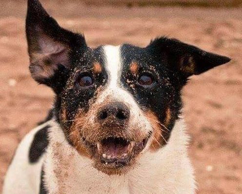 SallySmith(Vinny) | FOX 28 Spokane