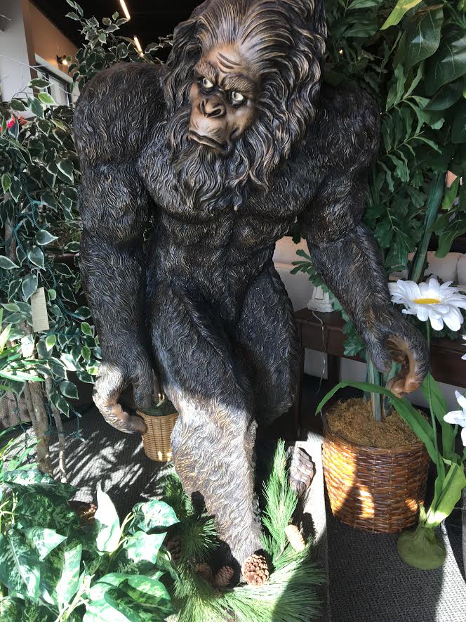 saundras bigfoot | FOX 28 Spokane saundras bigfoot