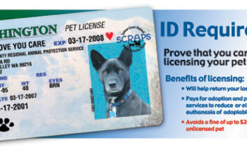 May is Amnesty Month at SCRAPS