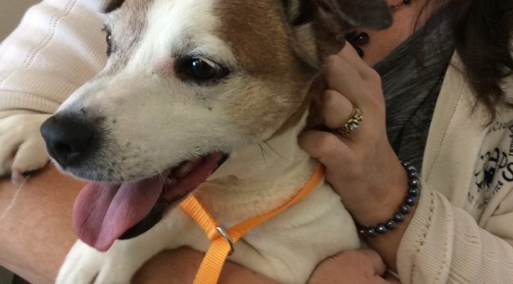 IMG_1460 2 | FOX 28 Spokane