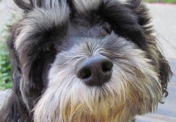 MollyFullFace | FOX 28 Spokane