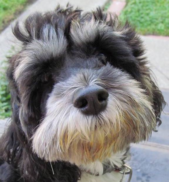 MollyFullFace | FOX 28 Spokane