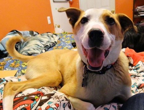 cheddar2 | FOX 28 Spokane