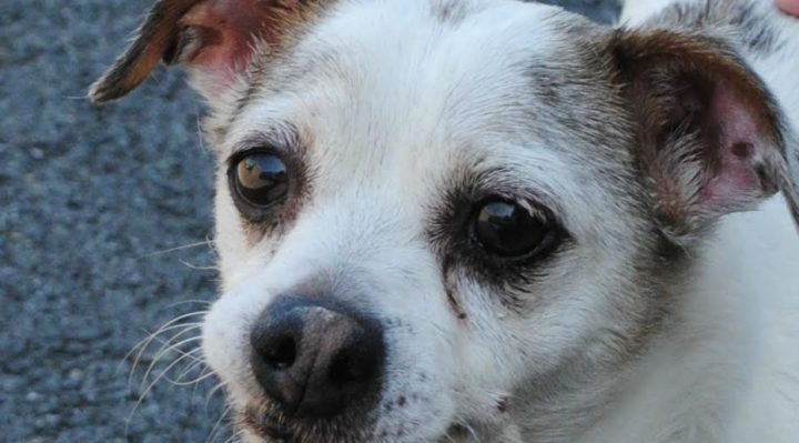 estefan4586 fb | FOX 28 Spokane