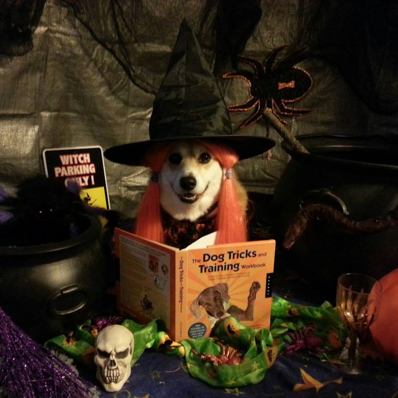 SusanBrogan | FOX 28 Spokane