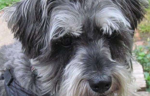 BeauClosedMouthHeadshot | FOX 28 Spokane