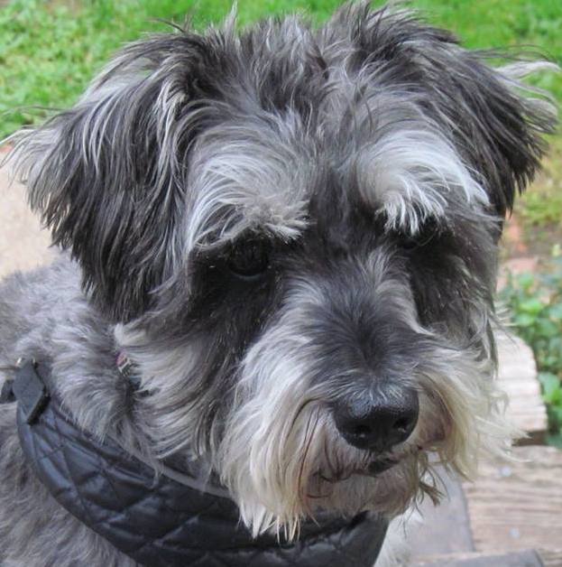 BeauClosedMouthHeadshot | FOX 28 Spokane