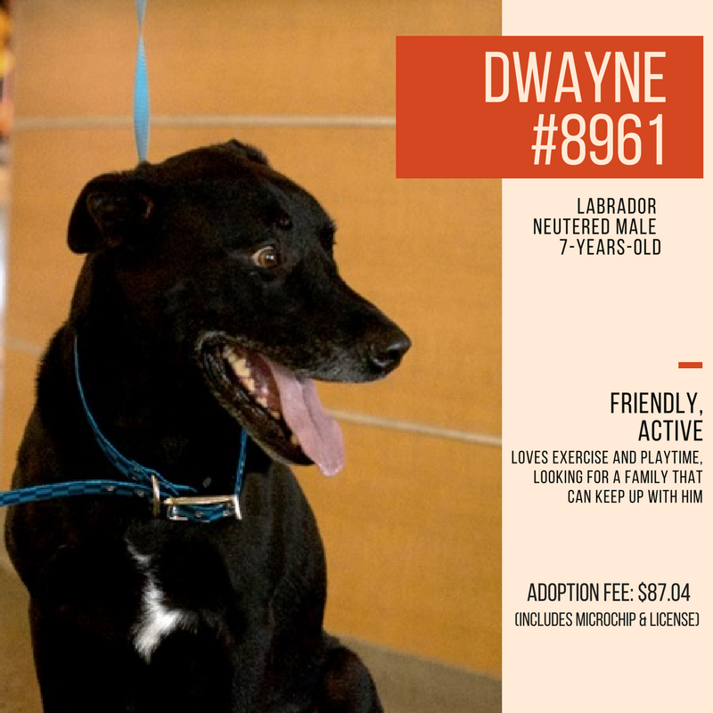 Dwayne #8961 (1)