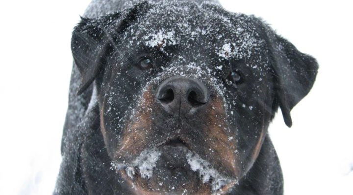 SandyCrosby | FOX 28 Spokane