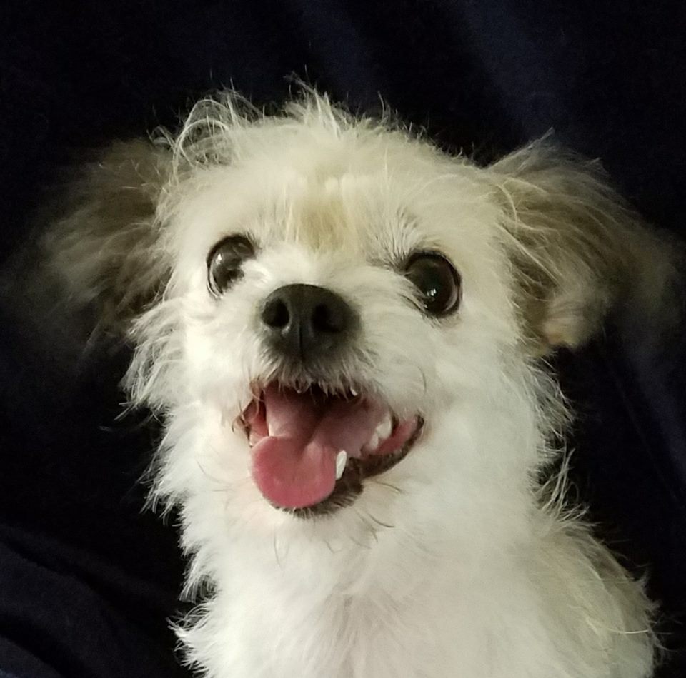 JeanneBrennan | FOX 28 Spokane