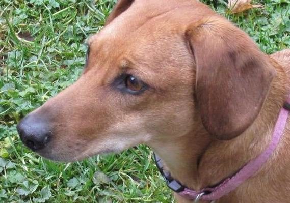 PennyProfile | FOX 28 Spokane