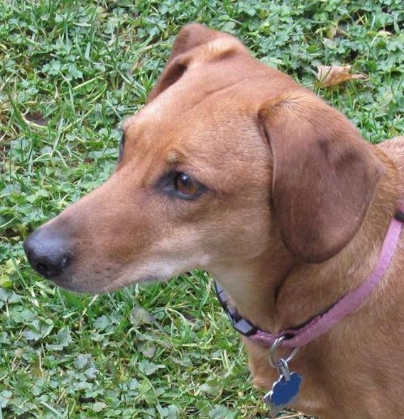 PennyProfile | FOX 28 Spokane