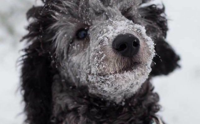 ShayOverbeySims | FOX 28 Spokane