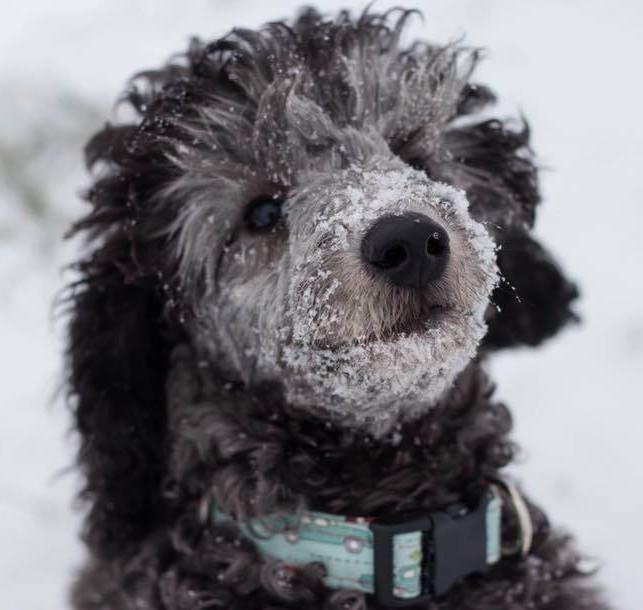 ShayOverbeySims | FOX 28 Spokane