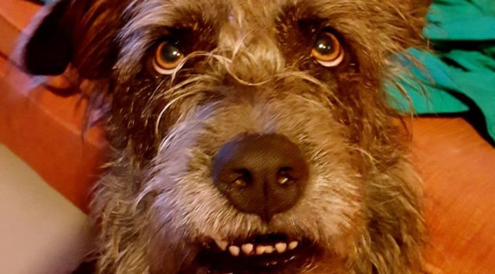 SaraMaynard | FOX 28 Spokane