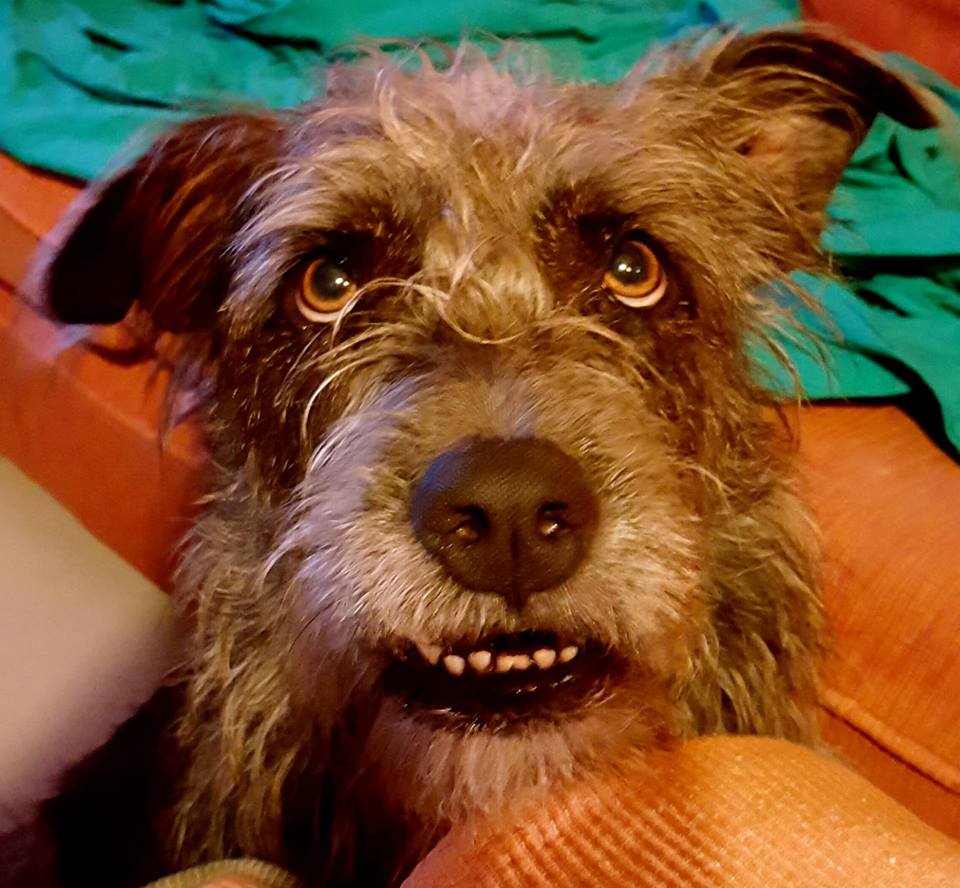 SaraMaynard | FOX 28 Spokane