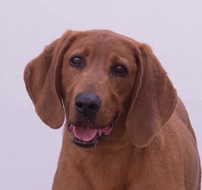 atticus fb | FOX 28 Spokane