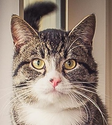 smoky fb | FOX 28 Spokane