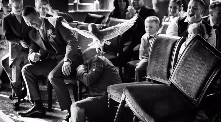 1522171822494 | FOX 28 Spokane