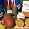 Texas Rangers’ new hot dog-stuffed pickle is dividing fans