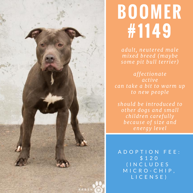 Boomer#1149