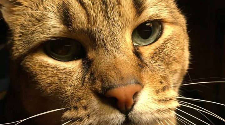 MaryCole | FOX 28 Spokane