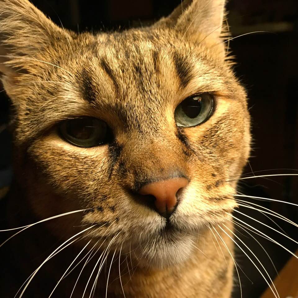 MaryCole | FOX 28 Spokane